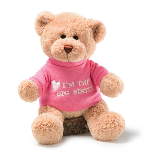 Gund BIG BROTHER AND BIG SISTER 32CMS