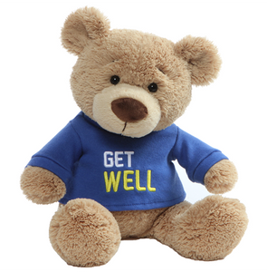 Gund BEAR GET WELL