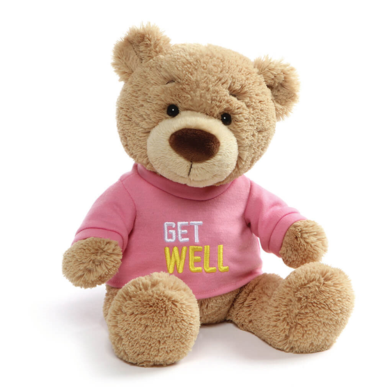 Gund BEAR GET WELL